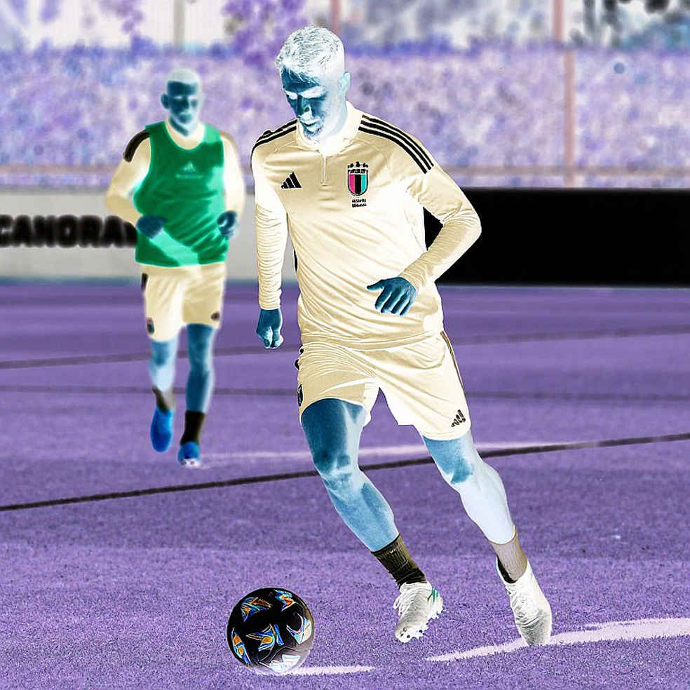 Persib Bandung Passes ACL Two Preliminary Round: Big Ambition or Unrealistic Declaration?