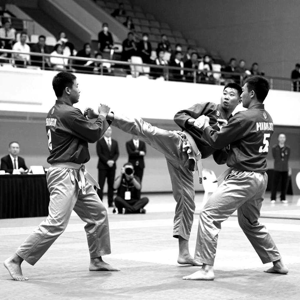 Martial Arts Sports Analysis: No Specific Information Available for Deep Analysis