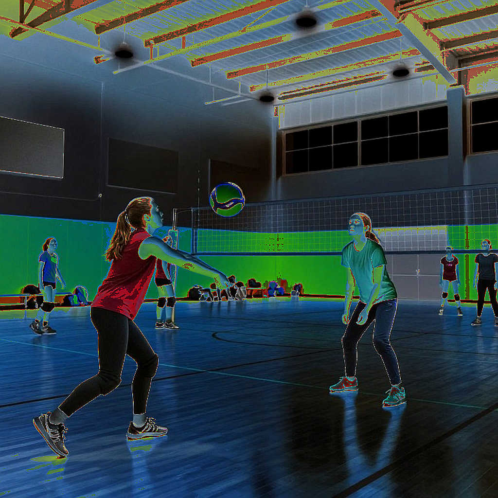 The Asian Import Quota: Vietnamese Volleyball's Real Door in the 2026 Transfer Window The Asian Import Quota: Vietnamese Volleyball's Real Door in the 2026 Transfer Window